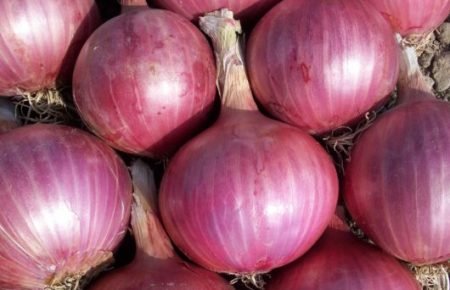 onions